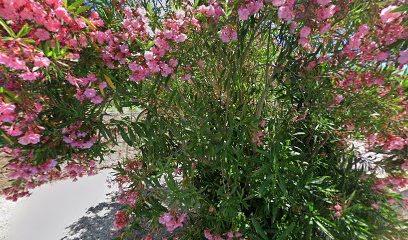 Chapel of St. Michael