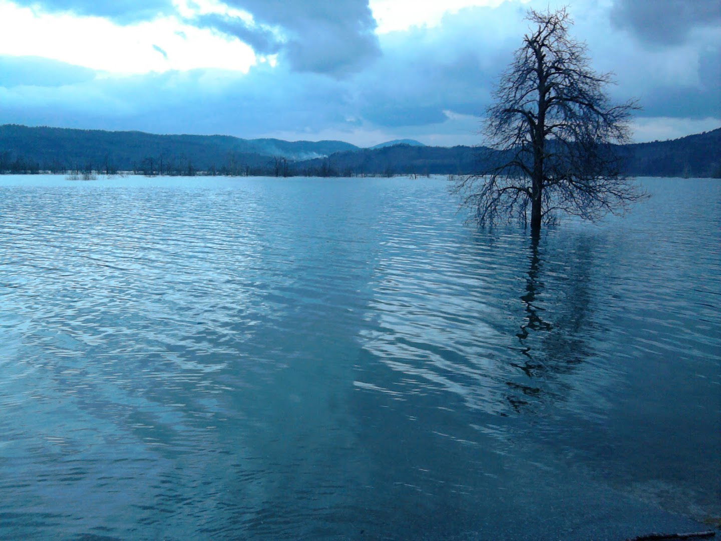 Krajevna skupnost Planina