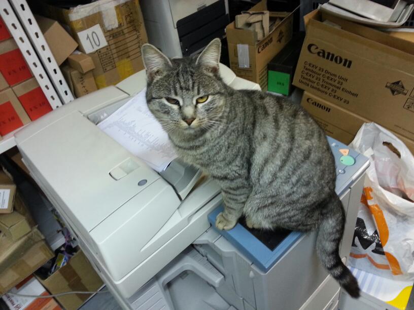 DO.RE.MI. service sales and rental of photocopiers