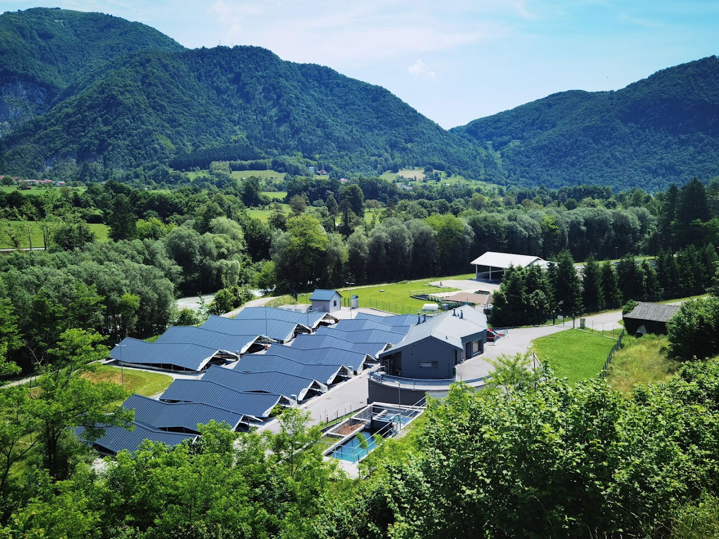 Faronika - Ribogojnica in prodaja postrvi