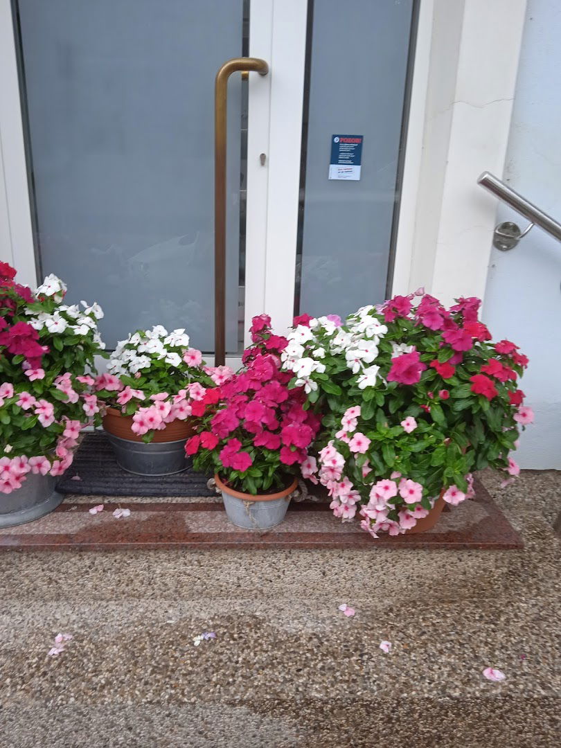 KOZMETIČKO-FRIZERSKI SALON ANITA