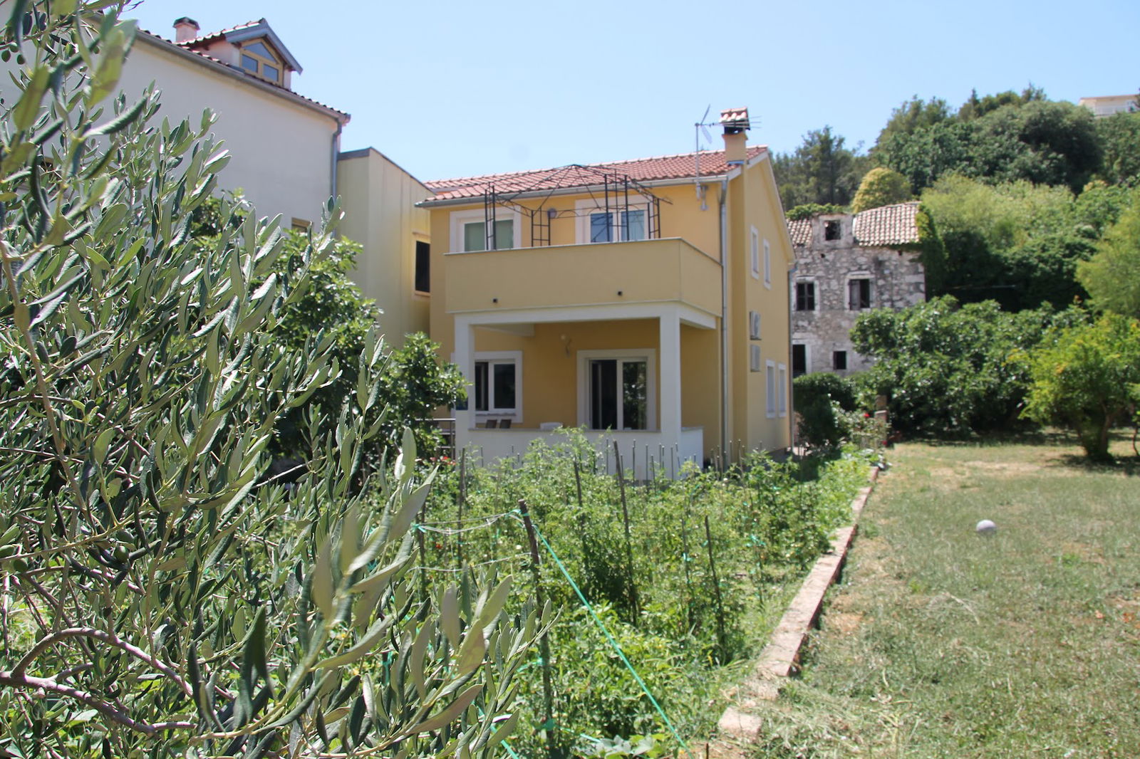 Apartments Antić