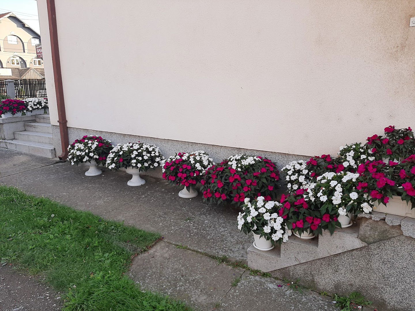 Rasadnik Cveca BREKOVIC