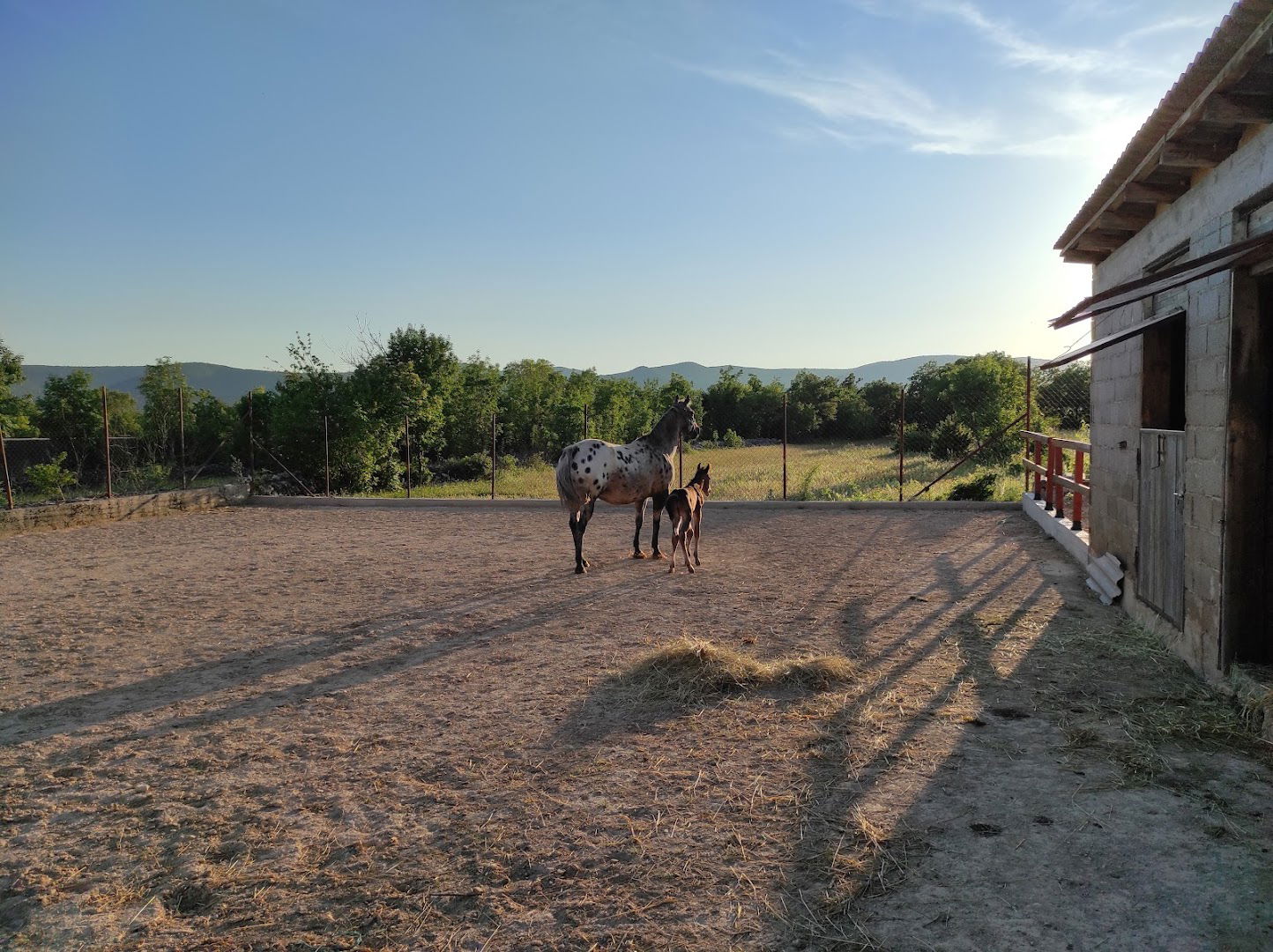 Horse and wine tours