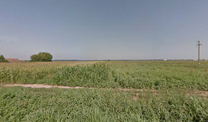 Platičevo Viewpoint