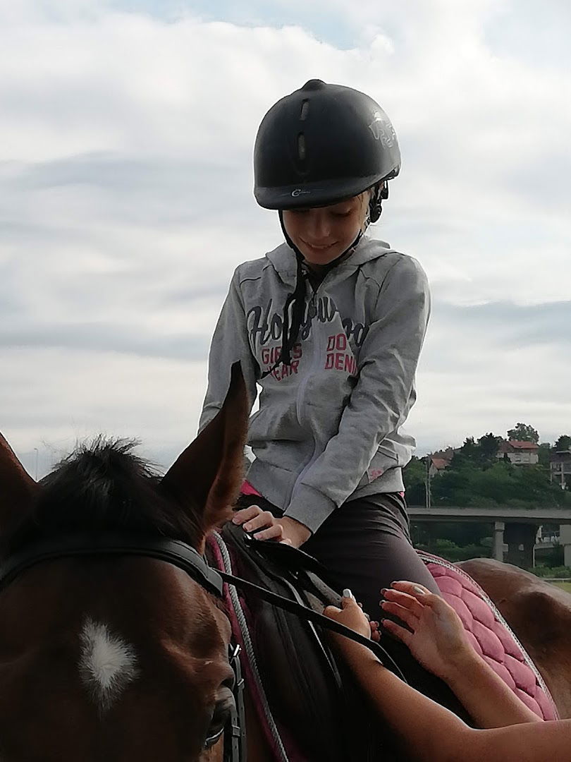 Škola jahanja HipodromBeograd.COM