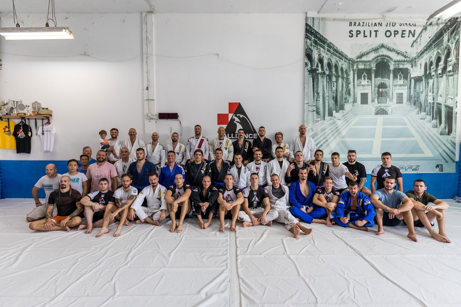 BJJ Alliance Black Dragon Split