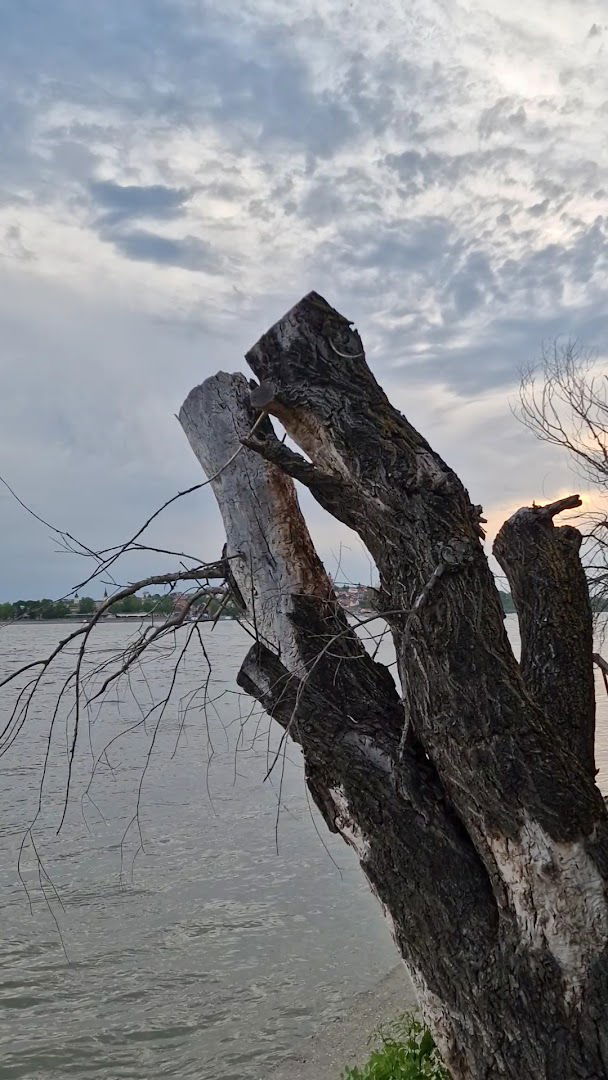 NEŠA GOLUB RIVER HOUSE