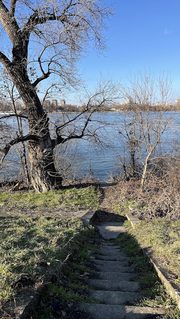 Велики храст