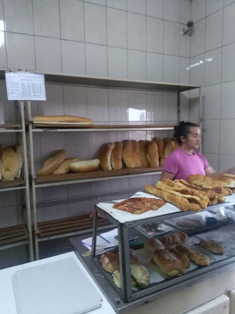 PEKARA NOVI ZLATNI KLAS 2016