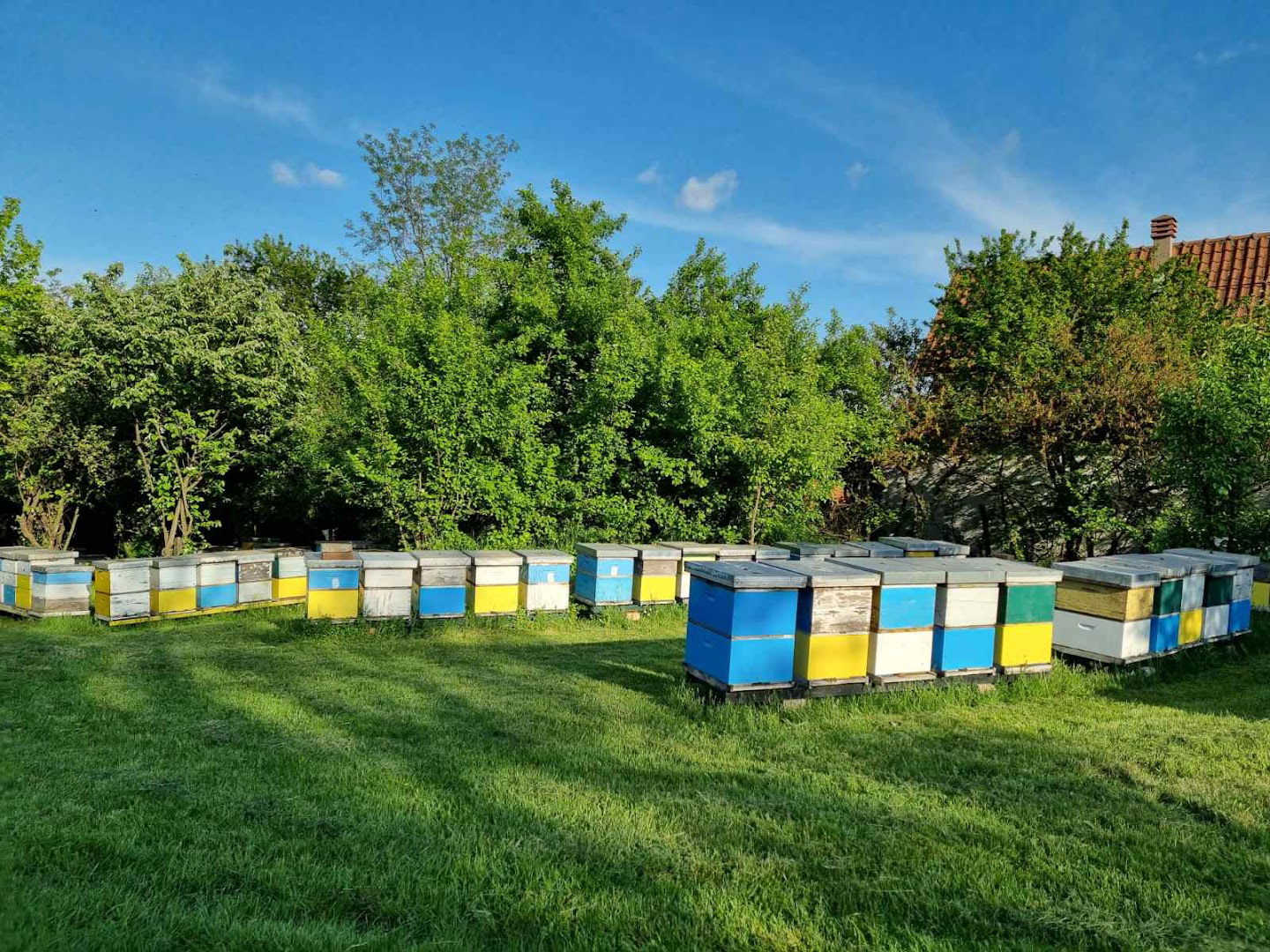 PG Šošić Mala Moštanica