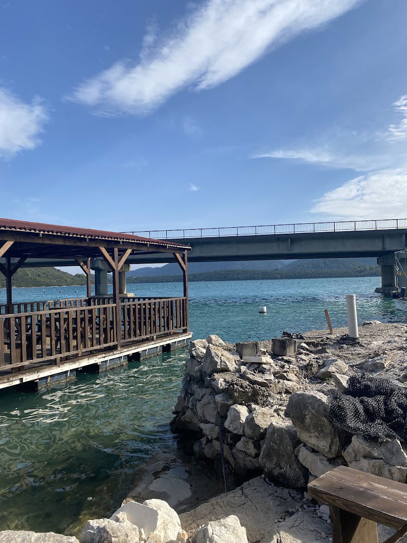 Prodaja školjki i ribe