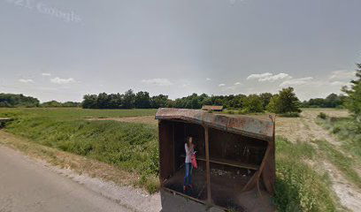 Put za Žel. st. "Stepojevac"