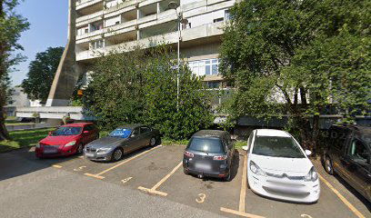 Digital Information and Documentation Office