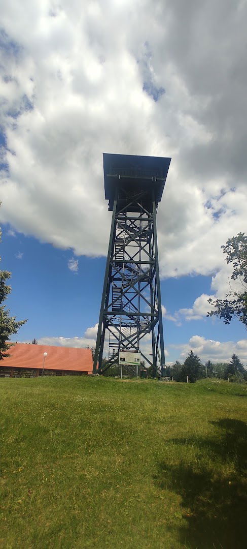 VINOTOČ PRI RAZGLEDNEM STOLPU NA PLAČKEM VRHU, Robert Sahornik