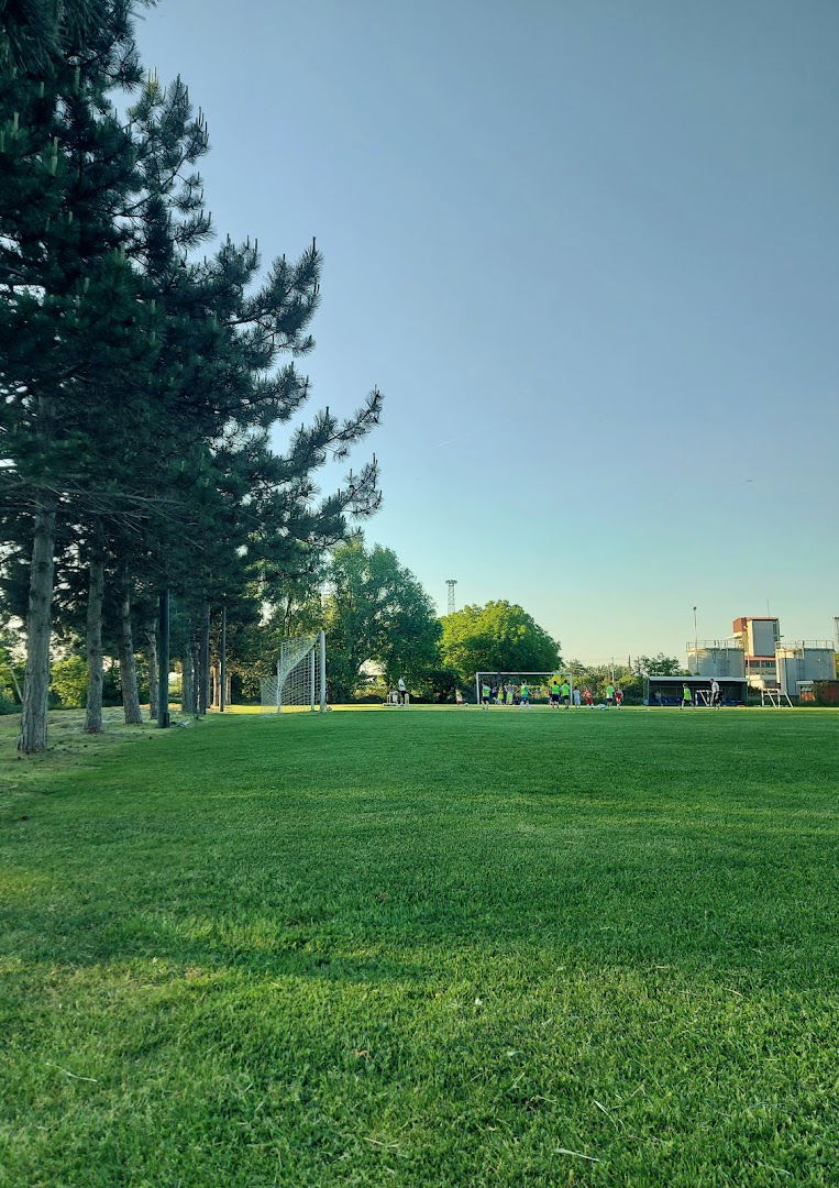 Fk lokomotiva zeleznik