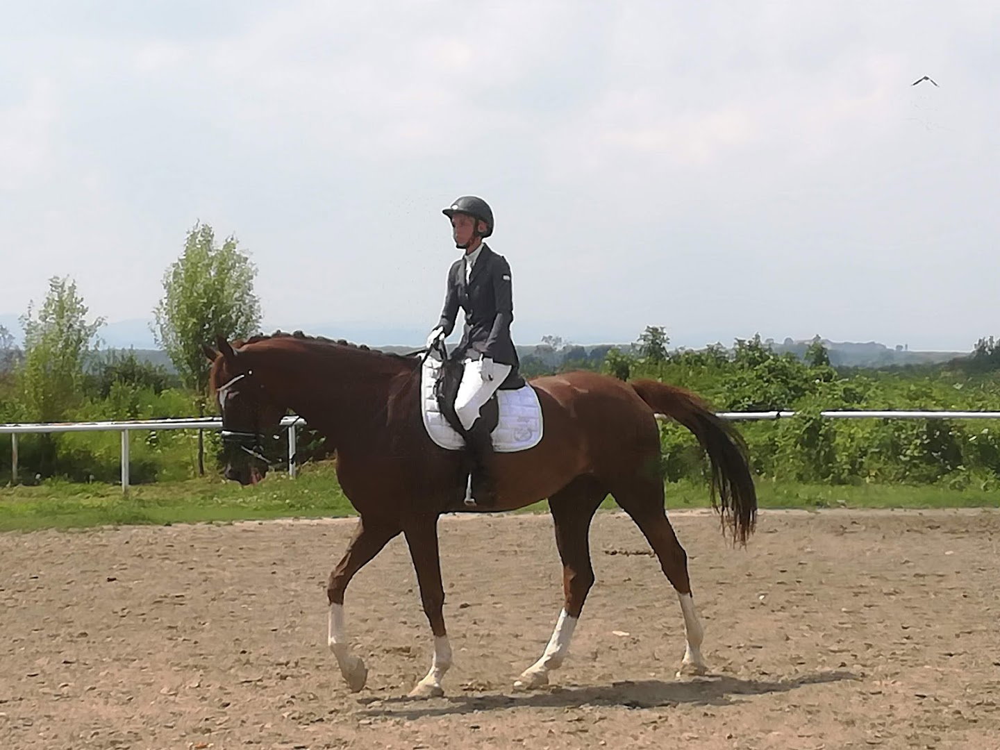 Konjički klub Graničar