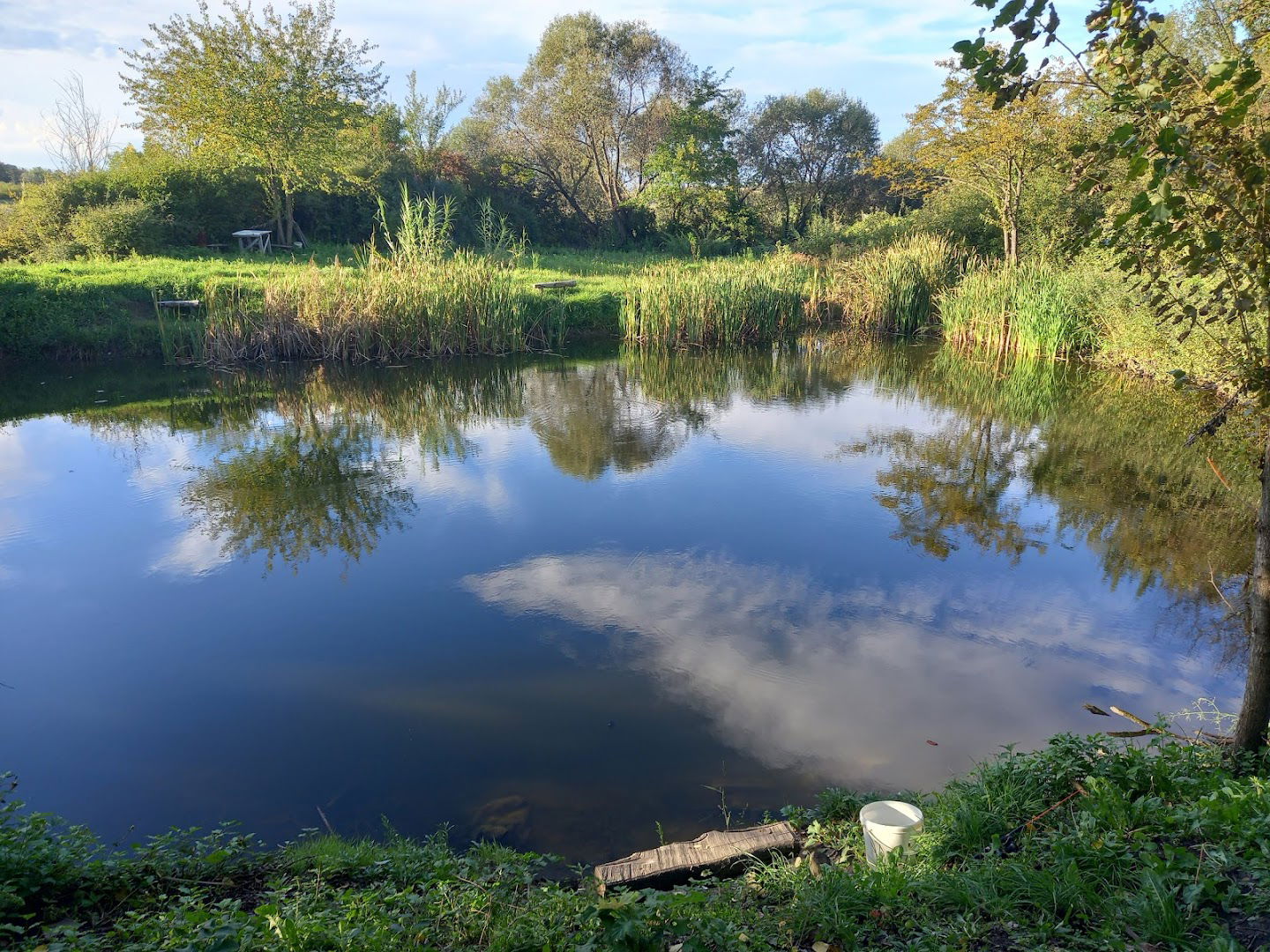 Ђорићева бара