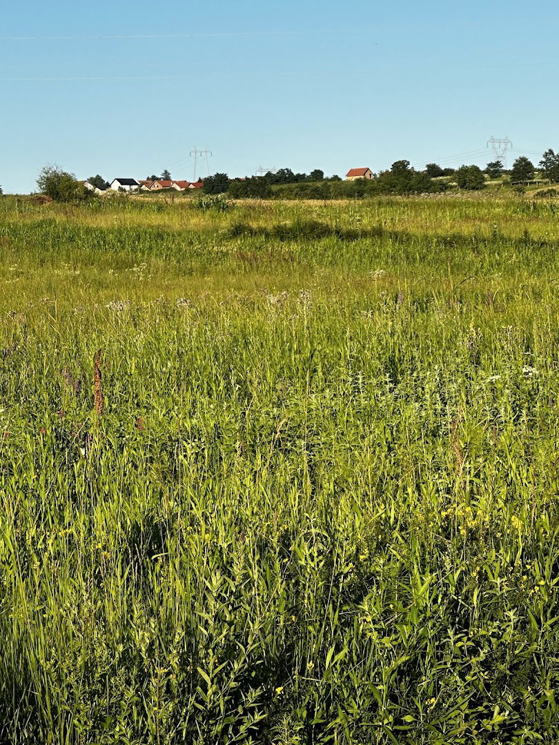 Sremčica - Mesna zajednica