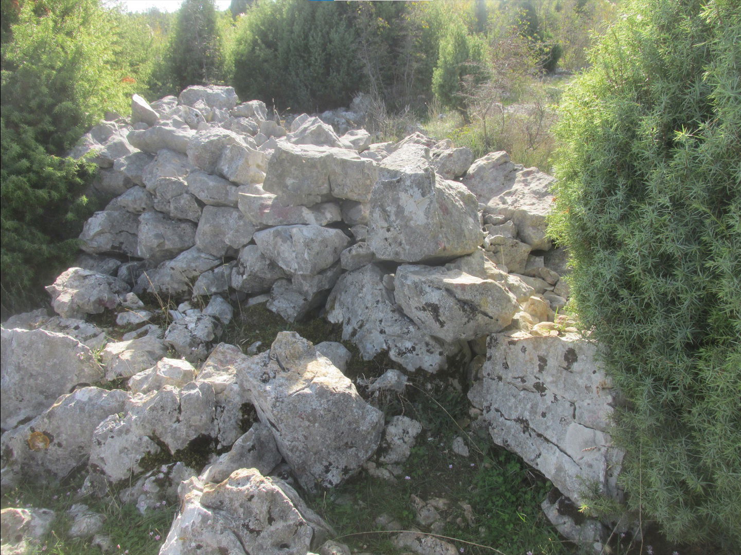 Ilirsko-antičko naselje s megalitskim kućama