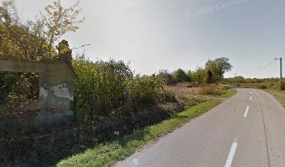 Poljoprivredno stočarska zadruga Bogićevci