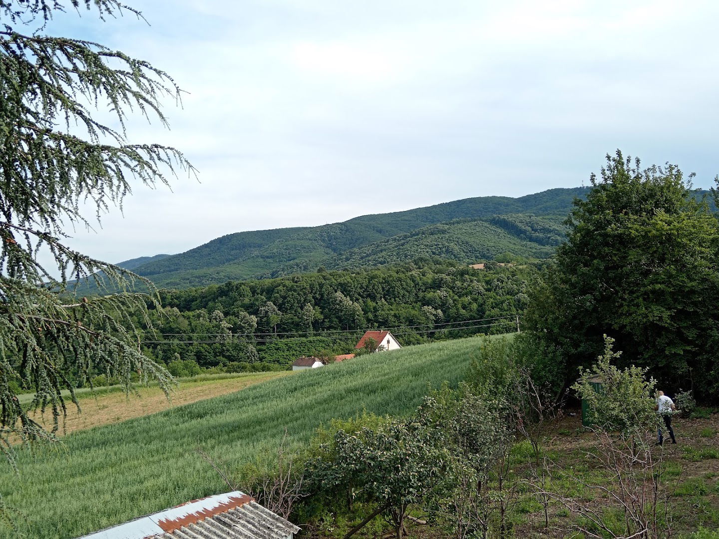 Vila Anita Radovašnica