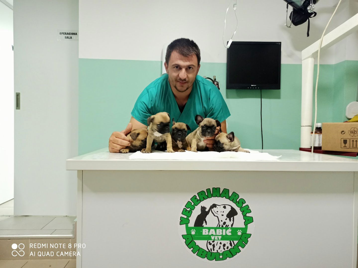 Veterinarska Ambulanta Babic Vet