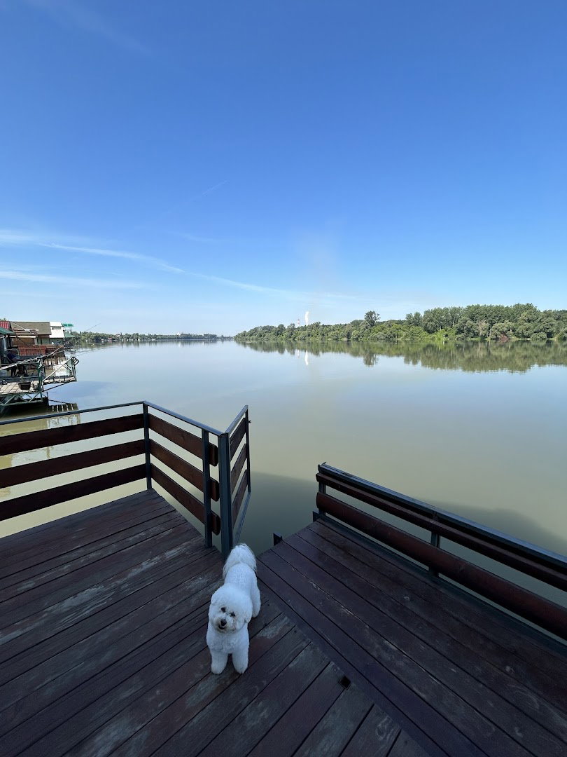 Splav Savski Raj Zabrežje