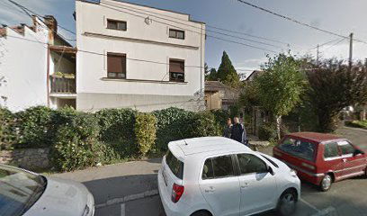 PREPARATOR - Dragan Pešić