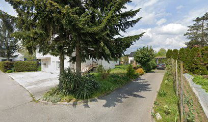 Prevozi in storitve, Lana Pešec, s.p.