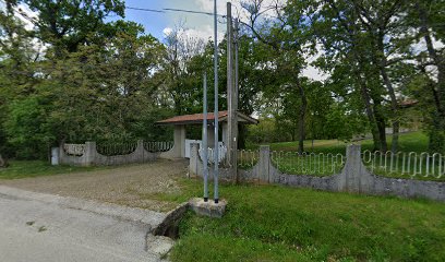 Evergreen Life Foundation