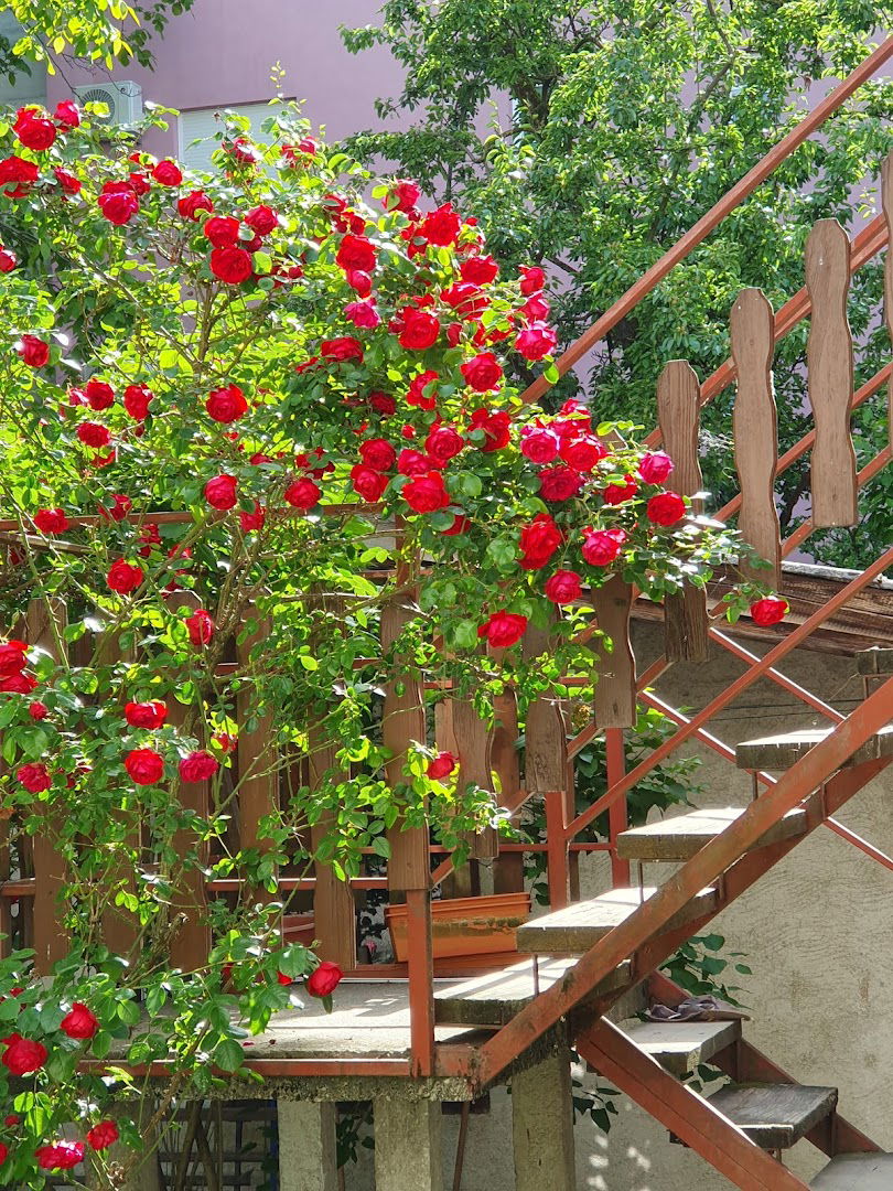 Naklada Fibra d.o.o.