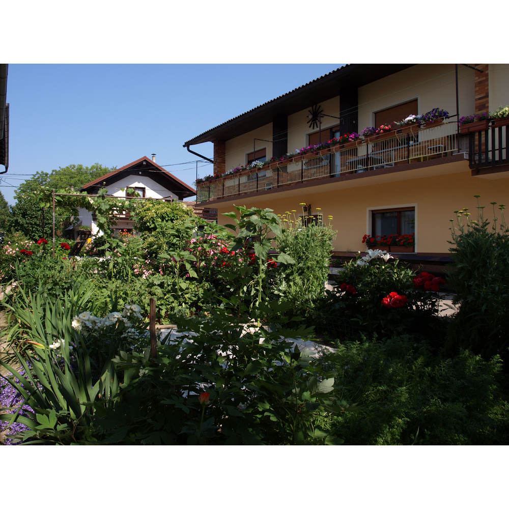 Apartments Mihelčič - nice rooms at Countryside