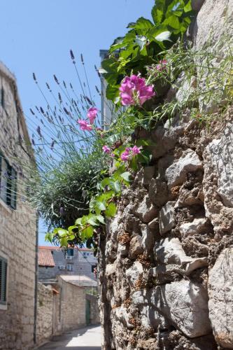 Old Town Ela Apartment