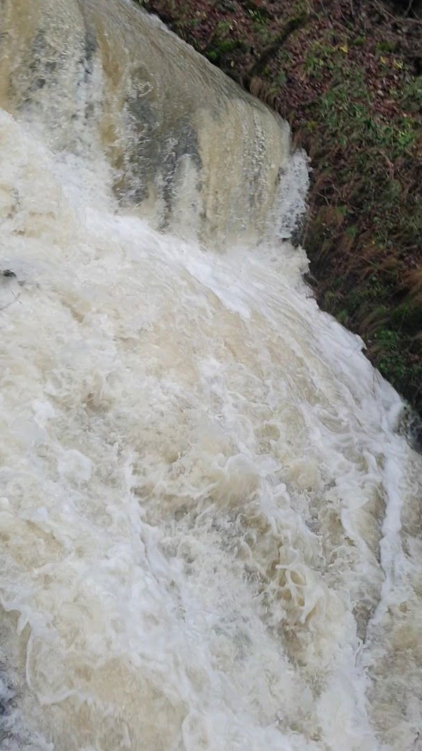 Baza Cereale Gradinari