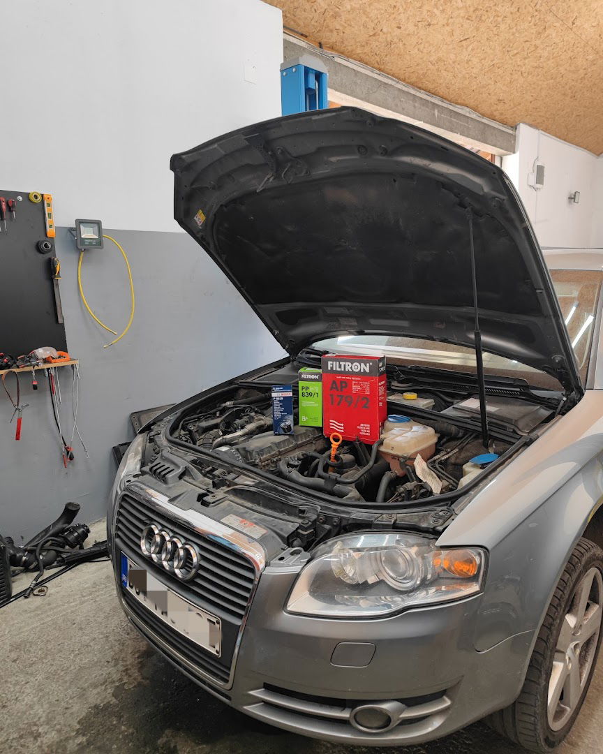 Auto Servis Martinovic EM