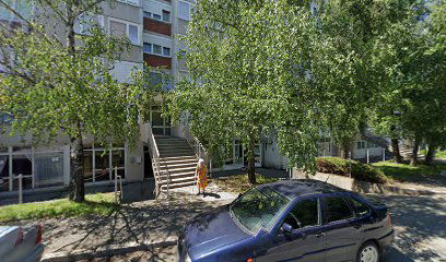 UDRUGA SLIJEPIH SISAK