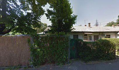 Dostava leda ️ LEDENI ️