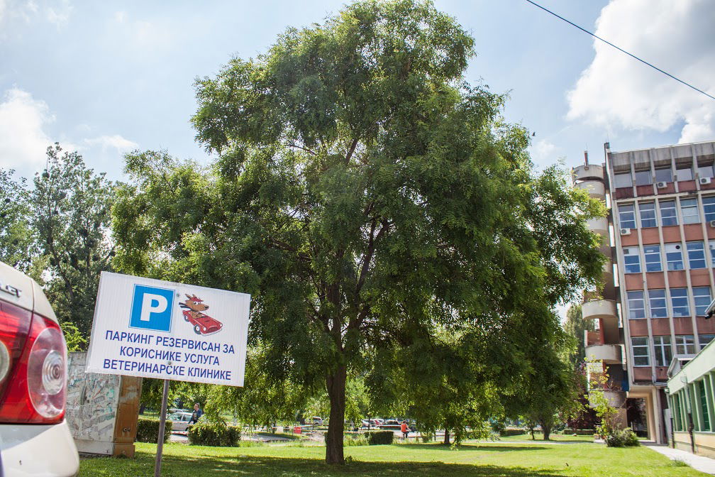 Veterinarska klinika - Departman za veterinarsku medicinu