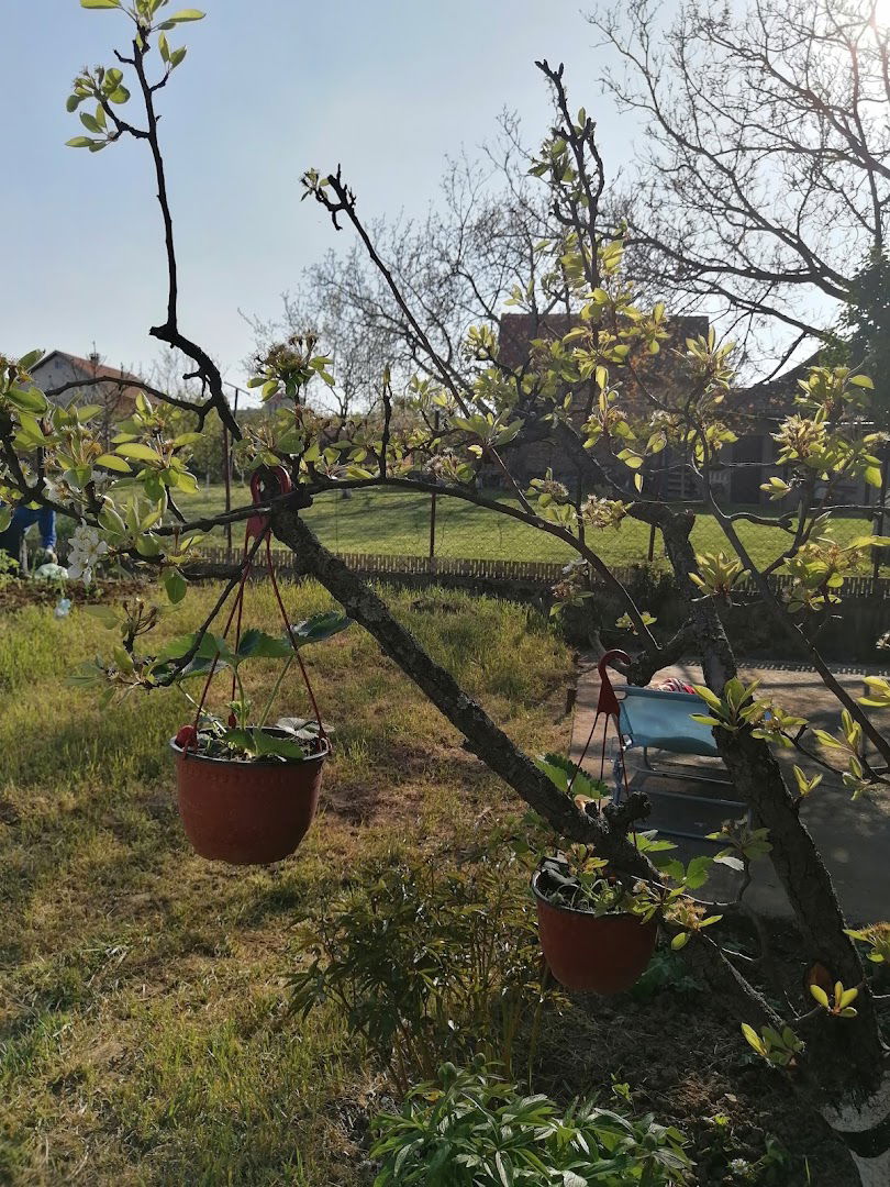 Resnik (železnička pruga)