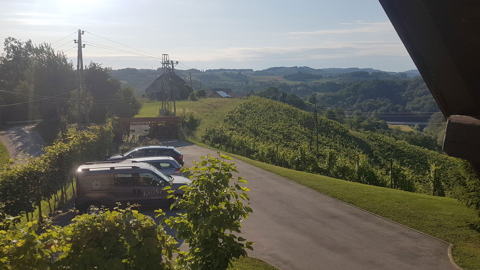 Vinogradništvo in kletarstvo Kaloh