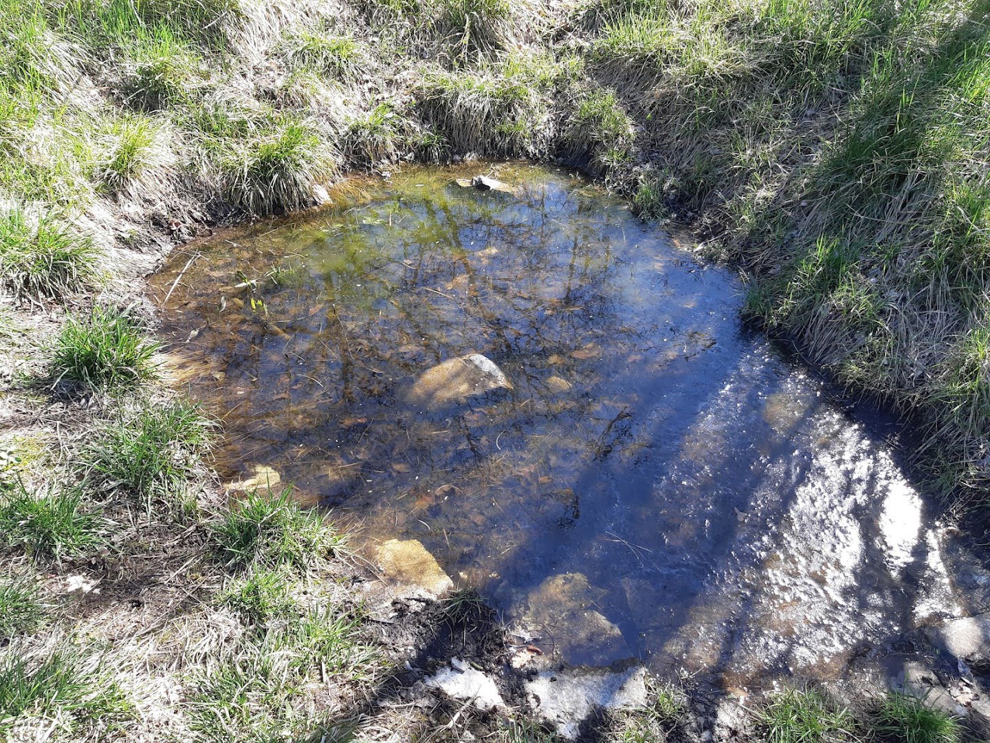 Stagno della sella di Trebiciano