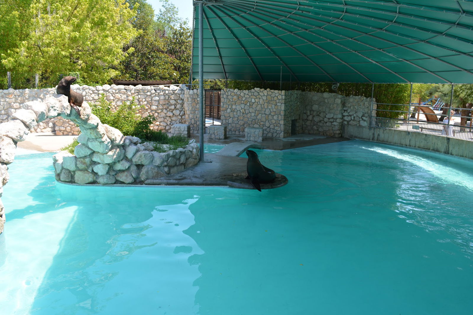 Parco Zoo Punta Verde