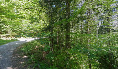 Gozdarska koča Stiska