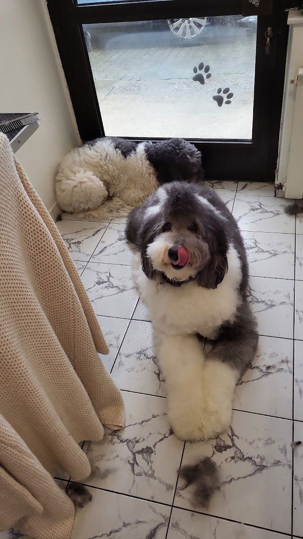 Nela, obrt za šišanje, njegu i čuvanje kućnih ljubimaca