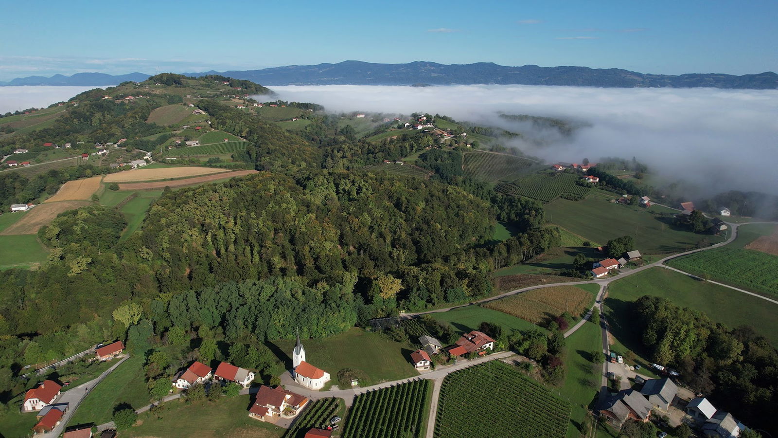 Cerkev sv. Primoža in Felicijana