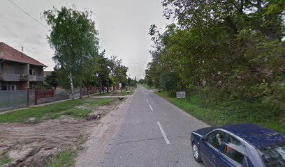 Tehno Auto AMS Tehnicki I pregled i registracija