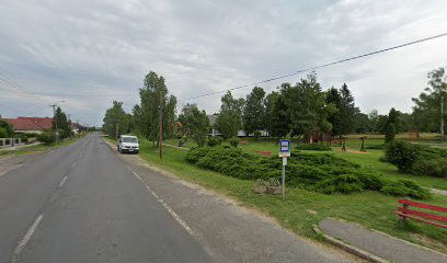 Csokonyavisonta, községháza