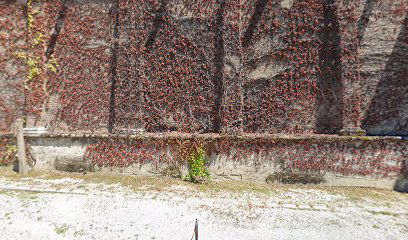 Spomenik Bačkim Hrvatima Roberta Frangeša Mihanovića