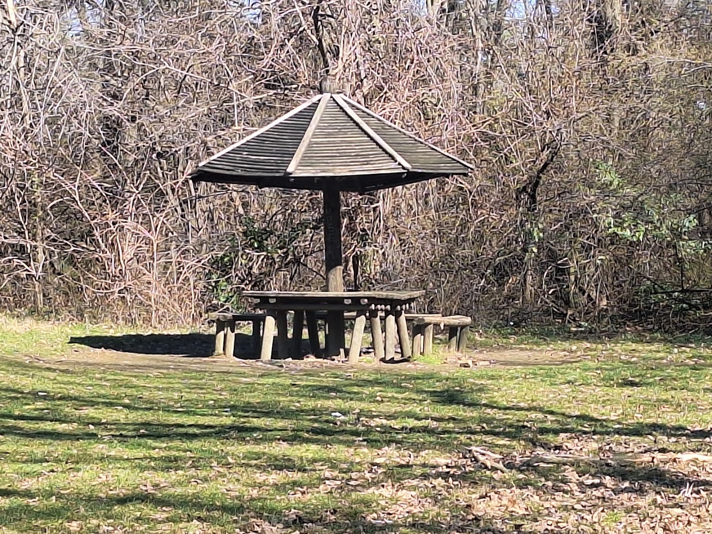 Зона для пикника